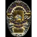 SANTA ANA, CA POLICE DEPARMENT BADGE PIN